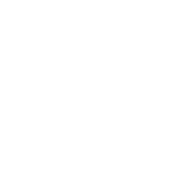 LB Scripts Logo